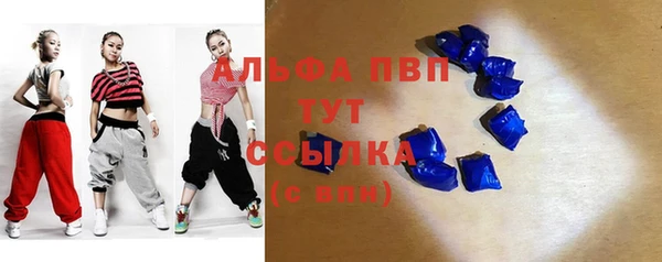 прущие грибы Галич