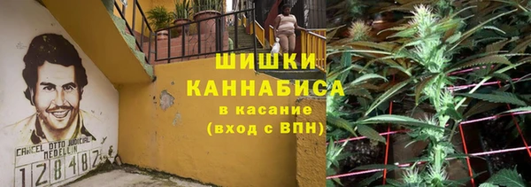 PSILOCYBIN Арсеньев