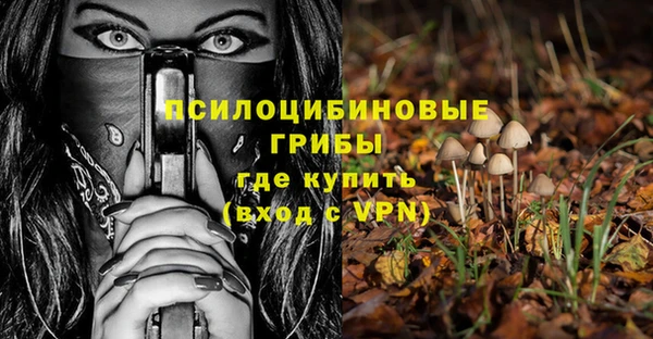PSILOCYBIN Арсеньев