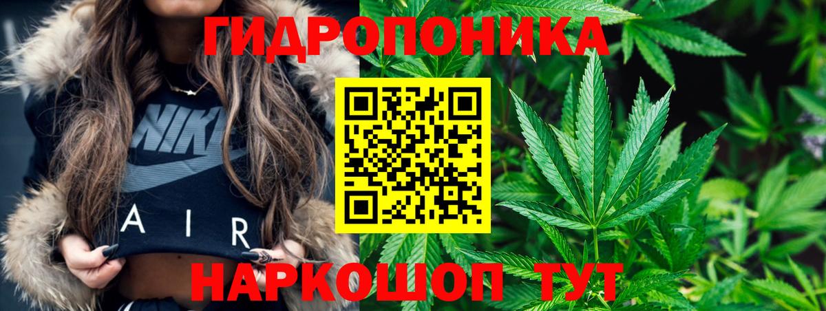 Бошки марихуана ГИДРОПОН  Вход с VPN  Лениногорск  Бошки Шишки Bruce Banner 